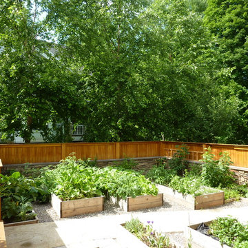 Vegetable Garden