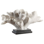 Uttermost - Uttermost Blade Coral Statue - Lifelike Coral In Textured White, Mounted On A Matte Black Base.