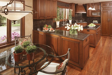 Elegant kitchen photo in Minneapolis