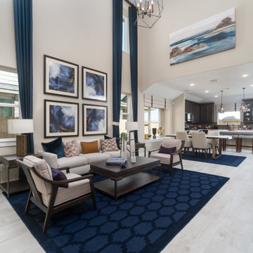 Houston, Texas | Balmoral - Journey Meridian Living Room