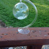 Hanging Round Clear Glass Sphere Planter With Glass Stand