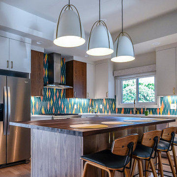 Mid Century Modern Remodel