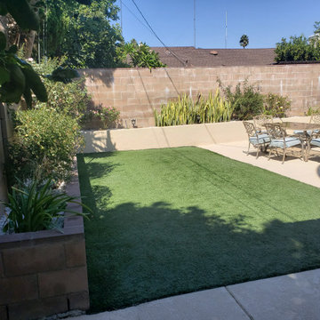 Backyard clean up and remodel