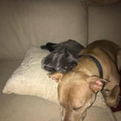 Jacqueline Robinson's photo