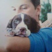 Brian Pelfrey's photo