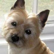 MaryAnn Holt's photo
