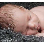 Wendy Wright's photo