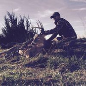 Matt Speers's photo
