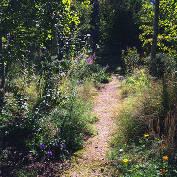 Large South Boulder Residential Garden, Est. 2010