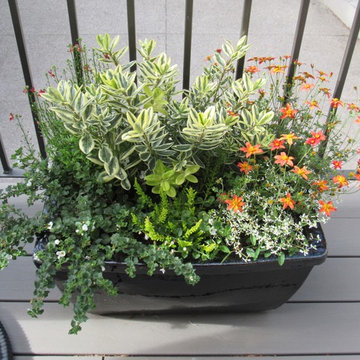 Summer planters