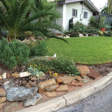 cactus & Succulent Gardens