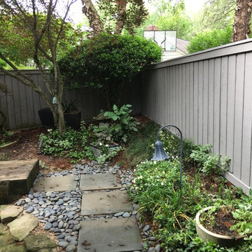 Shaded Asian Garden
