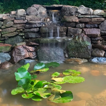 Pond Facelift