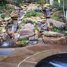 pool and pond