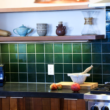 Berkeley Hills House