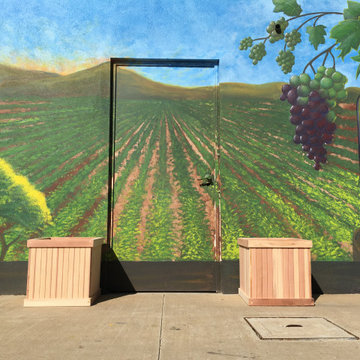Best Redwood Planter Boxes