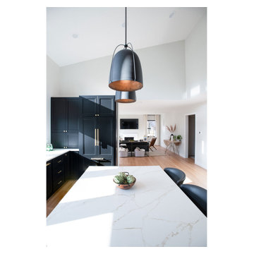 Modern Ranch Whole-Home Remodel & Addition | Arlington Heights, IL