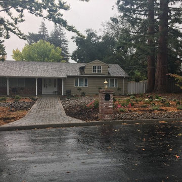 Front Yard Remodel
