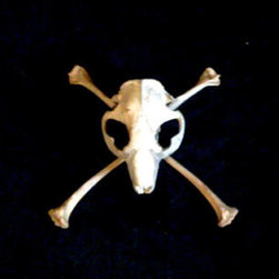 Skull and Cross Bone collection - Products