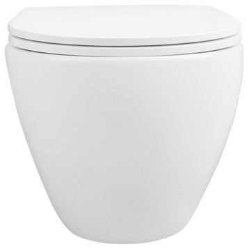 DeerValley Wall Mounted Toilet with Soft Closing Seat,Dual Flush Toilet,Tankless