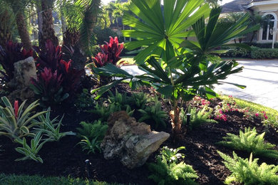 This is an example of a landscaping in Miami.