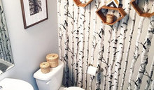 Paint, Stains & Wall Coverings