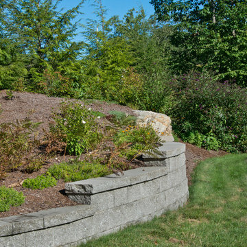 Our Work