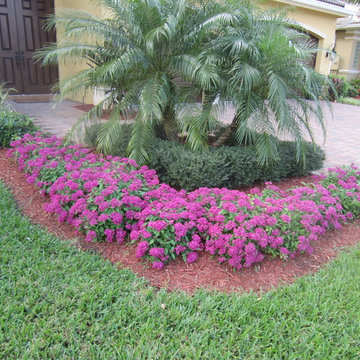Individual Plant Photos # 1:Customer Aid (Not complete- hundreds will be here)