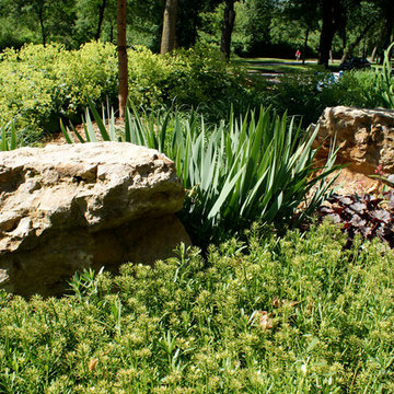 Shade to Sun - A Journey of a Perennial Garden