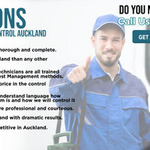 Pest Control Auckland