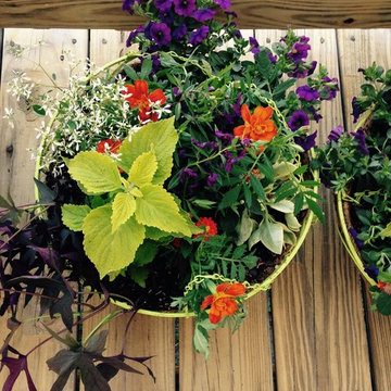 Container Gardens