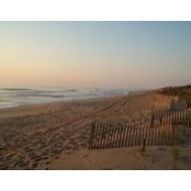 Sally Berich's photo