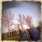 F. Serra Inan's photo
