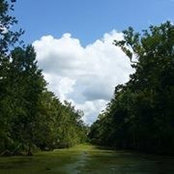 Breanna Blouin's photo