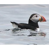 Donelda MacAskill's photo
