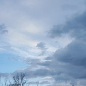 Shirley Silva-Szyngiel's photo