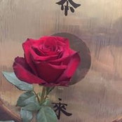 Alisa Komiss's photo