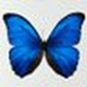 Andi Lipman's photo
