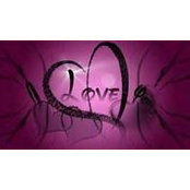 Jammie Lynne's photo