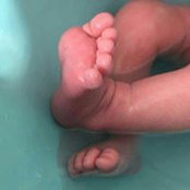 Foto von Linda Weeks