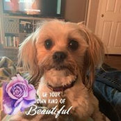 Julia McCully's photo