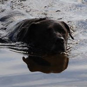 Paul Murphy's photo