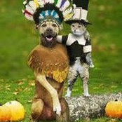 Vicky Lalehchini's photo