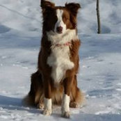 Foto von Cindy Koch