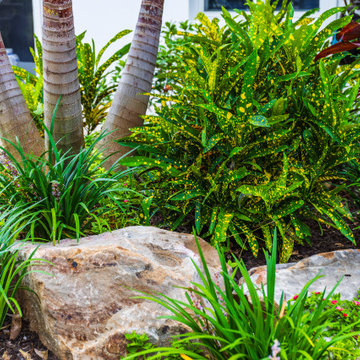 Tropical Luxury Landscape