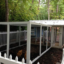 chicken coop
