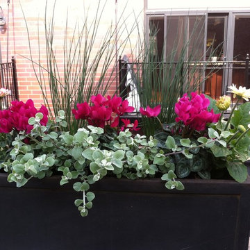 seasonal containers