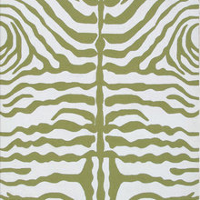 Animal Prints