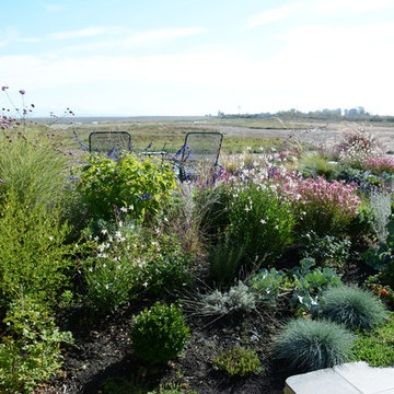 Contemporary Seaside Garden