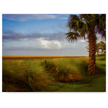 J.D. Mcfarlan 'St. Simons, Ga Palm Trees' Canvas Art